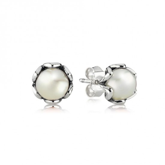 Pandora Cultured Elegance Stud Earrings, White Pearl