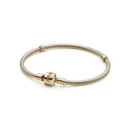 Pandora 14K Gold Charm Bracelet - Elevate Your Elegance
