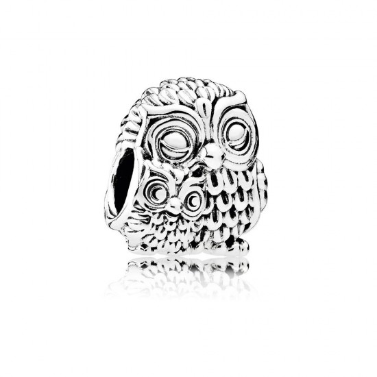 Pandora Wise Owls Sterling Silver Charm